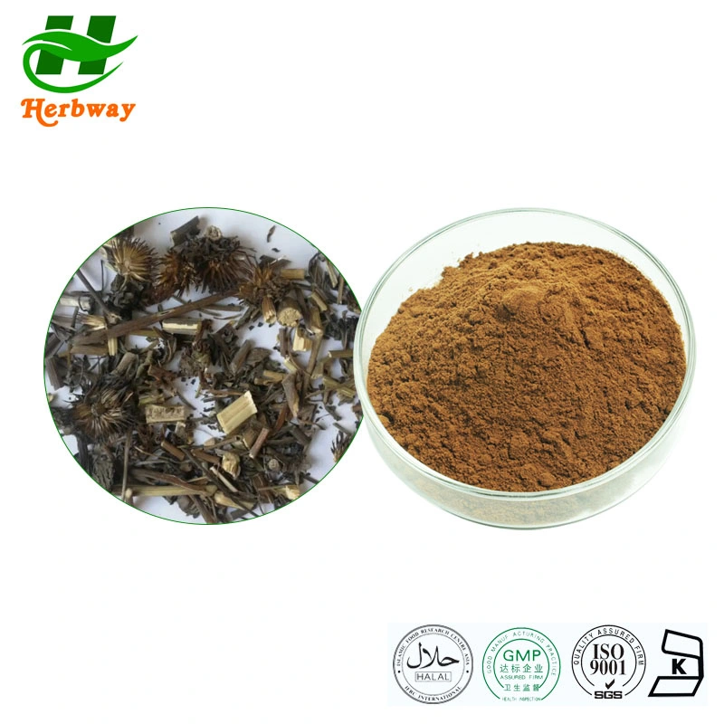 Herbway Factory Direct Sale Natural Supplements Echinacea Purpurea Echinacea Angustifolia Extract