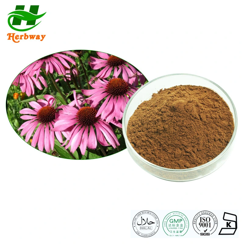 Herbway Natural Supplements Herbal Extract 4% Chicoric Acid Echinacea Purpurea Extract