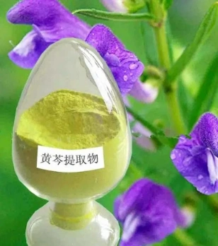 E. K Herb Factory Price Free Sample 100% Natural Herbal Extract Food Cosmetic Grade Scutellaria Baicalensis Extract Baikal Skullcap Root Extract