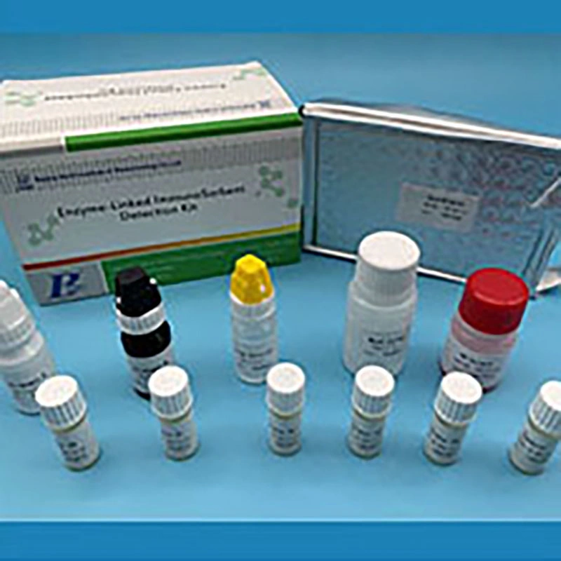 97.1% Sensitivity Hev Igm Elisa Test Kit for Virus DNA and Rna