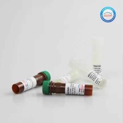 Proteína-1 recombinante del virus del herpes simple